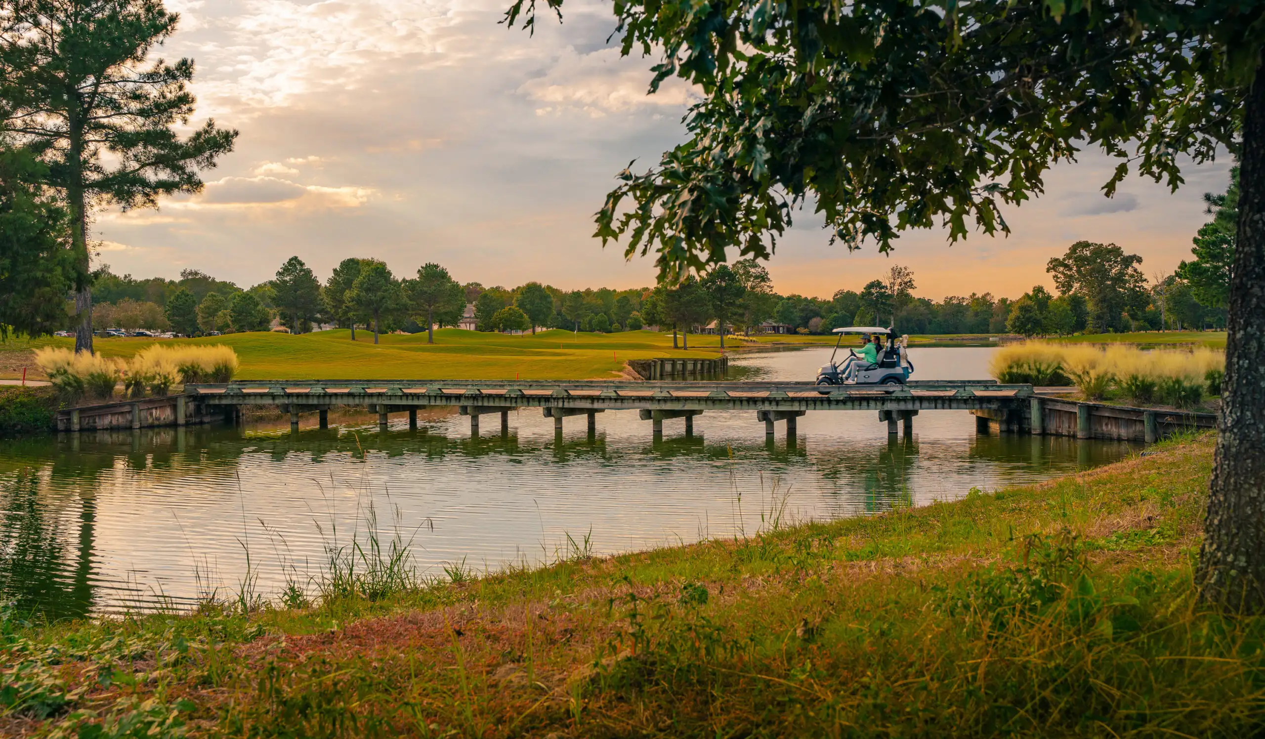 golf cart on bridge